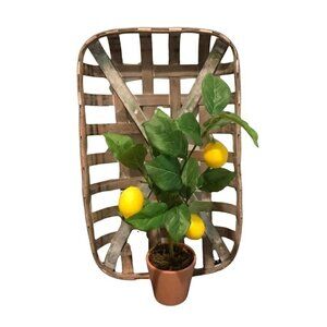 Artificial Lemon Tree Terra Cotta Pot Farmhouse Decor Kitchen 18in Tall Yellow